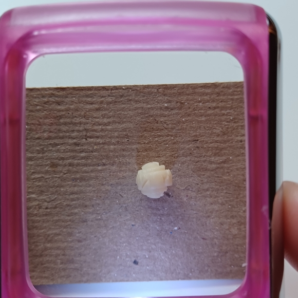 Vintage ivory stud earrings - Picture 3 of 7